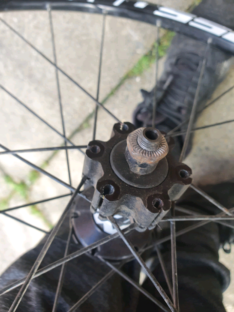 mavic cross one disc